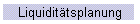 Liquidittsplanung