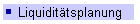 Liquidittsplanung