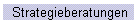 Strategieberatungen